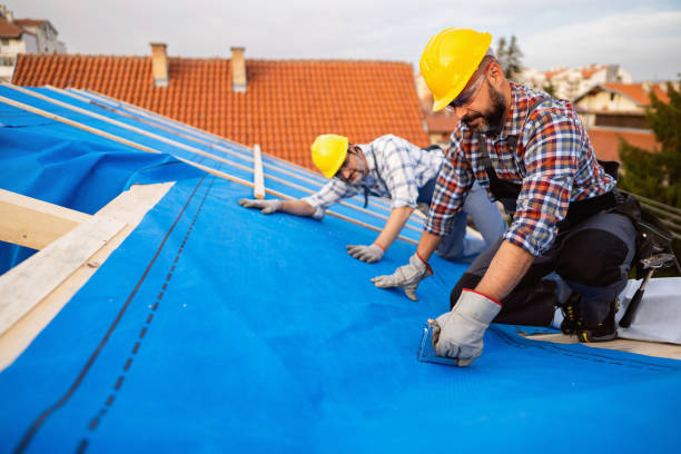 Best Rubber Roofing (EPDM, TPO)  in Colchester, IL